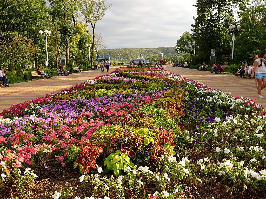 Maykop city view